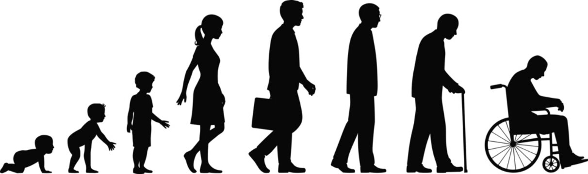 Human life stages silhouette, growth from infancy to adulthood, aging progression illustration, generational development and mobility transition concept