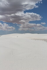 white sand dunes