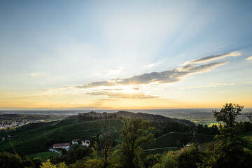 Goldenes Gegenlicht über den Rebterrassen bei Durbach im Schwarzwald – Panorama über Rheinebene bis in die Vogesen