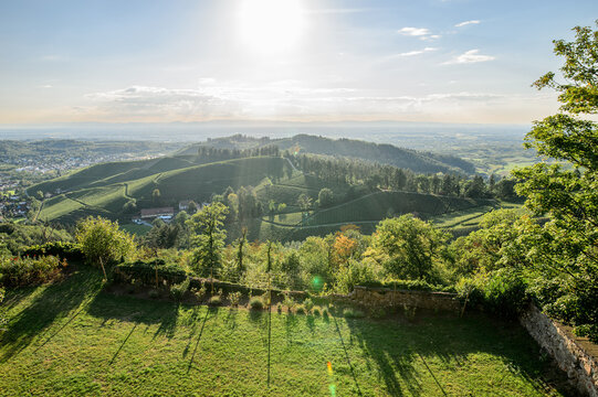 Panoramablick von Burg Staufenberg &uuml;ber die Weinberge von Durbach im Schwarzwald bei Sonnenlicht