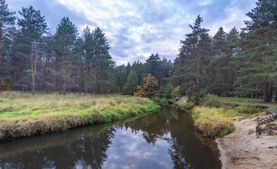 River with a forest on either side