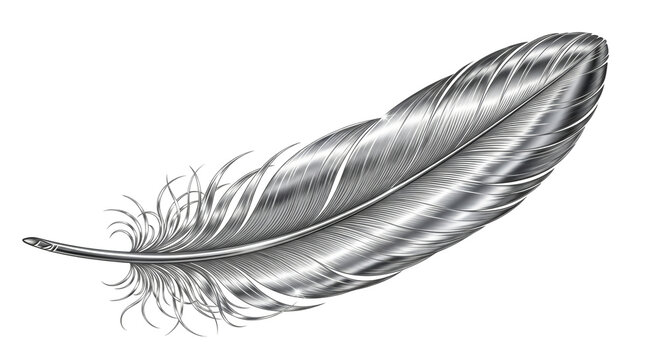 Fototapeta Detailed metallic silver feather with intricate veins and soft barbs isolated on transparent background