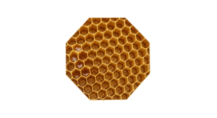 Detailed octagonal honeycomb structure with hexagonal cells isolated on transparent background