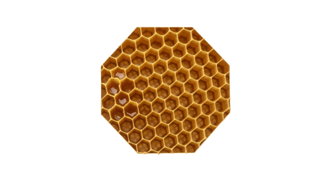 Detailed octagonal honeycomb structure with hexagonal cells isolated on transparent background