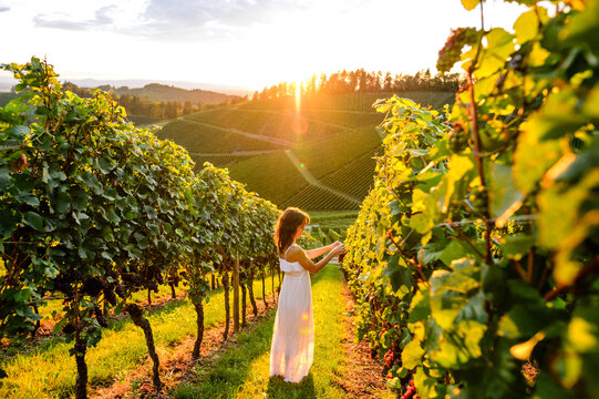 Frau im Weinberg bei Sonnenuntergang im Gegenlicht &ndash; Durbach im Schwarzwald
