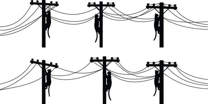 Silhouette cats climbing utility poles with power lines, playful animal interaction scene, humorous vector illustration for stock content on wildlife and energy infrastructure