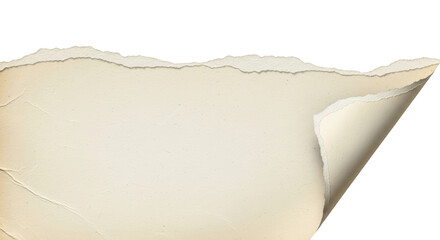 A torn and aged piece of parchment paper with a curled edge isolated on transparent background