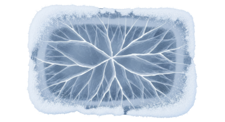 Intricate frost crystal formation with branching patterns isolated on transparent background