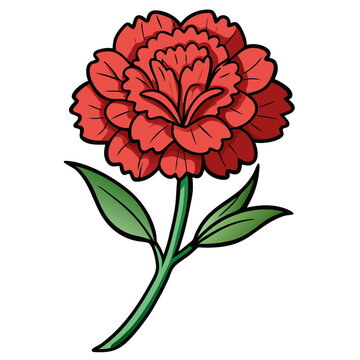 Beautiful red carnation flower drawing illustration vector for design and decoration ideas