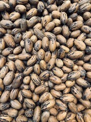 Close-up of a pecan nut, showing detailed texture, rich brown color, and natural grooves on the shell, highlighting its organic and rustic appearance