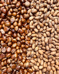 Pecan and chestnut mix evenly spread on a surface with a clear dividing line in the middle, highlighting textures and natural brown tones of the nuts