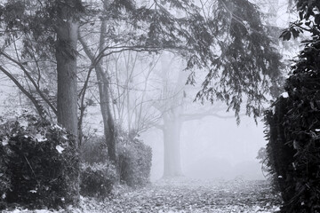 Bei starken Nebel und Dunst im Park unterwegs, schwarz-weiß Umsetzung