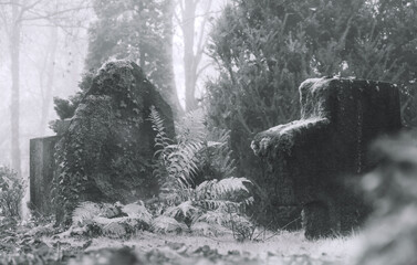 Bei starken Nebel und Dunst im Park unterwegs, schwarz-weiß Umsetzung