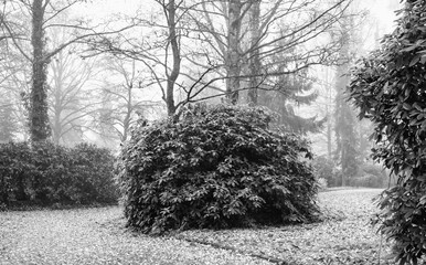 Bei starken Nebel und Dunst im Park unterwegs, schwarz-weiß Umsetzung
