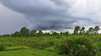 Dramatic Storm Clouds Gather Over a Lush Green Landscape.







