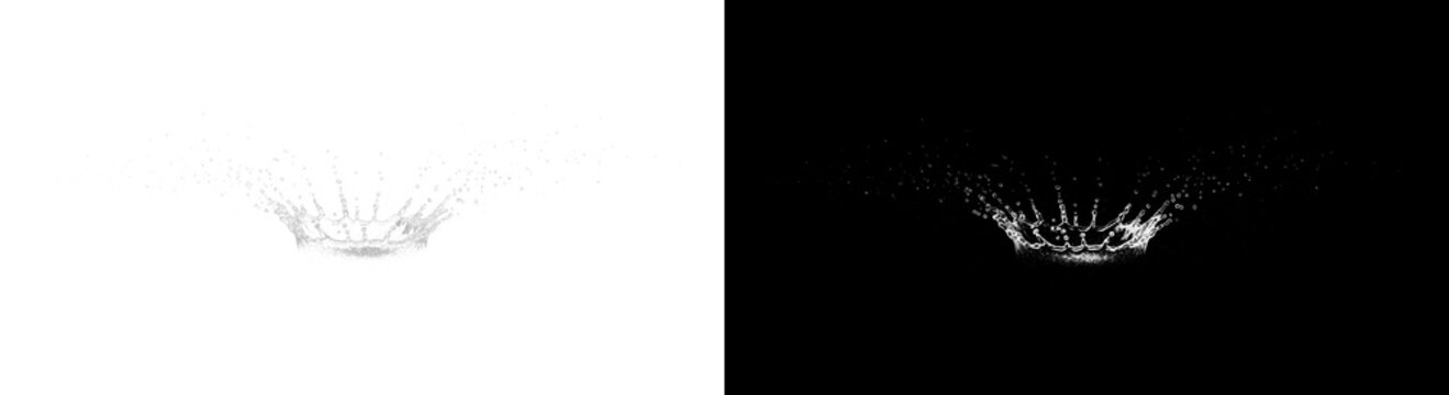 A dynamic, high-speed water splash in the shape of a crown, presented in a minimalist black and white diptych with isolated versions on both pure white and black backgrounds