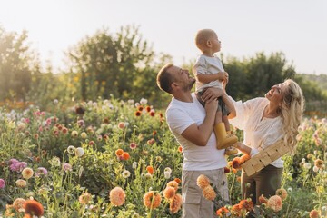 Family enjoying dahlia garden together, father carrying child on shoulders