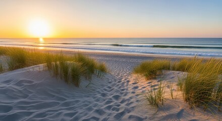 Golden sunset over the ocean viewed from a sandy dune path with tall grasses, casting warm light on the sand and gentle waves