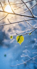A delicate green leaf blossoms at the wrong time against a winter snowfall. A dramatic, life-affirming backdrop, vertical banner, postcard, or background.