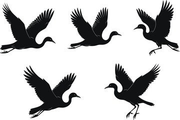 Obraz premium Flying crane bird silhouettes in motion, elegant heron shapes in flight, nature wildlife vector for design, art, and decoration.