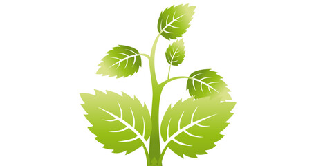 Fresh green leaves on a white background. Tree illustration in flat style.