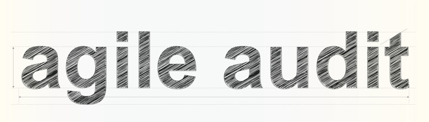 agile audit