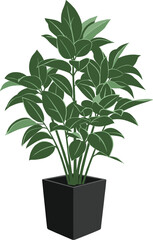 Indoor potted plant, green leafy stems, black square container, botanical vector illustration, home decor foliage, gardening icon, natural design element
