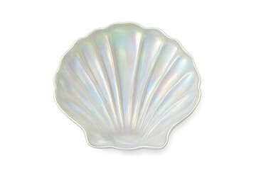 Fototapeta premium Scallop shell showing shiny mother-of-pearl surface