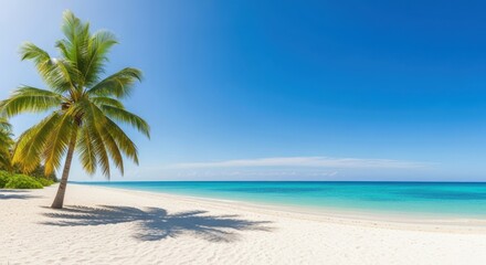 Fototapeta premium A serene tropical beach with a lone palm tree casting a shadow on the white sand under a clear blue sky and turquoise ocean water