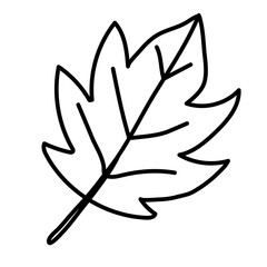 autumn maple leaf vector illustration