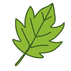 green leaf icon