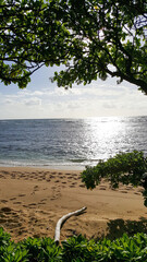 Ocean View