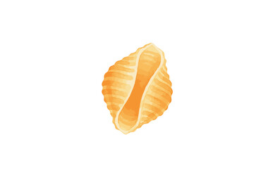 A watercolor illustration of a single conchiglie shell pasta. Hand-drawn classic Italian food ingredient