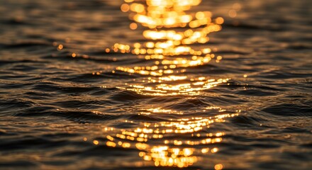 The way sunlight creates sparkles on the water's surface.