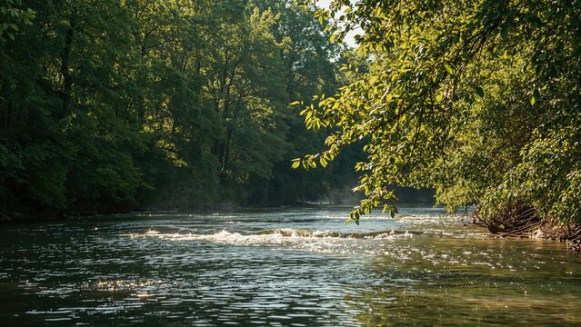 A river scene with trees and sunlight filtering through, creating reflections on the water. Nature and outdoor environment. Tranquil and scenic landscape.