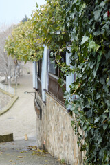Ivy-covered wall along a winding pathway leading to a rustic building, surrounded by trees and natural scenery, creating a serene atmosphere