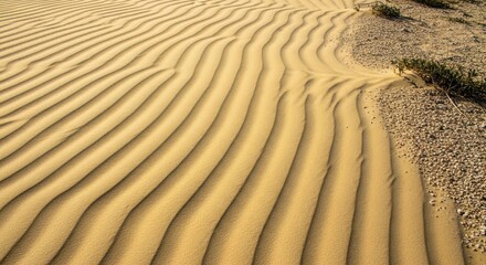 Closeup of rippled sand dunes with shadows cast by the wind, showcasing the texture and patterns of the desert landscape on a sunny day