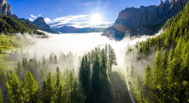 Aerial view of trees in the clouds during morning golden hour in the Italian Dolomites