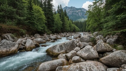 A mountain stream flowing through a forest with rocks and trees, framed by distant peaks.