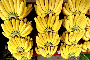 bunch of bananas