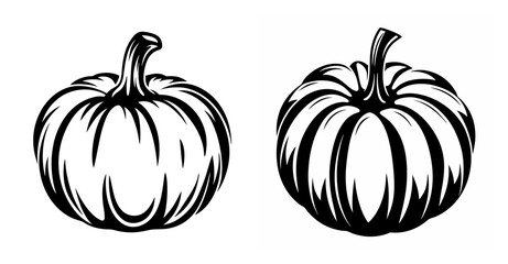 Two detailed sketch style pumpkins side by side perfect for fall and halloween designs graphics asset