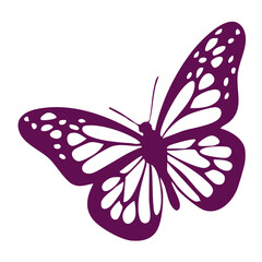 butter flay tattoo design. Vector illustration