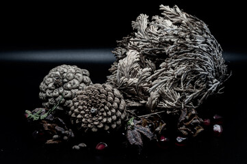 Beautiful still life photos of typical autumn fruits