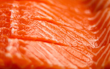 Fresh salmon fillet showing vibrant orange color and lean muscle texture, representing healthy seafood nutrition