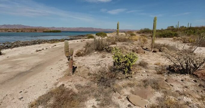 PLAYA EL REQUESON BAJA CALIFORNIA SUR MEXICO AGUAS CRISTALINAS HERMOSOS PAISAJES DEL DESIERTO CON EL MAR