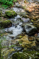 Over millions of years, the Orfento River (in the municipality of Caramanico Terme) has carved out a narrow gorge now covered by dense riparian vegetation featuring willows, ferns, and mosses.