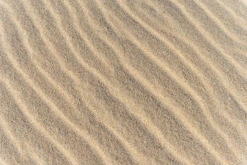 Casas típicas y playa de Aveiro en invierno, Traditional houses and Aveiro beach in winter