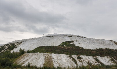 Mountain covered in snow with a few trees in the foreground