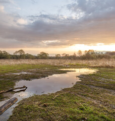 Field with a pond in the middle and a cloudy sky