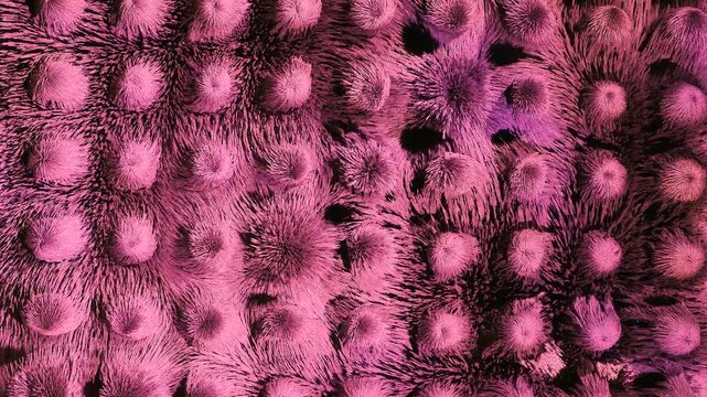  abstraction. iron particles are located under electromagnets; under the influence of current, the electromagnet creates a magnetic field